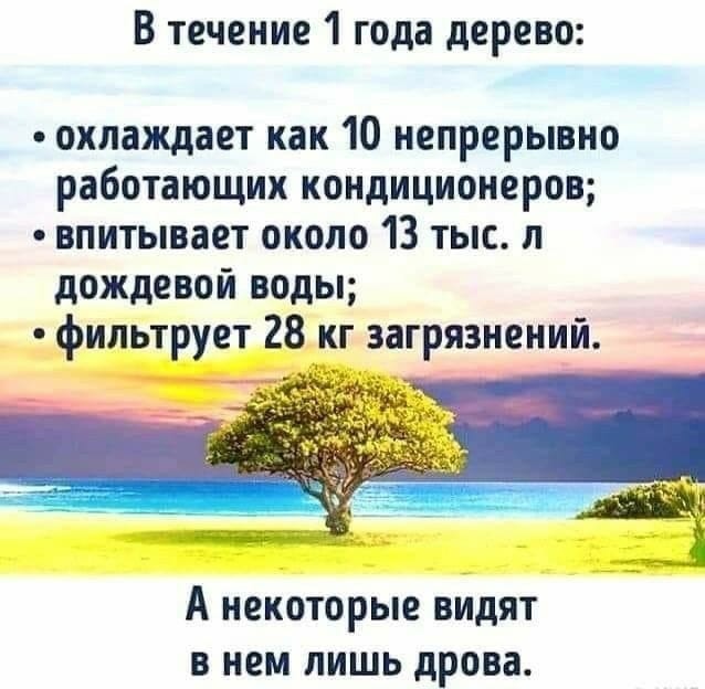 Каждое дерево имеет значение!